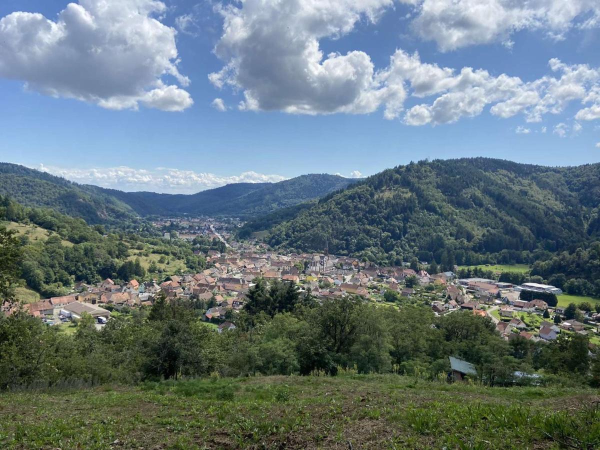 Les Noyers Du Wissbach Villa Willer-sur-Thur Dış mekan fotoğraf