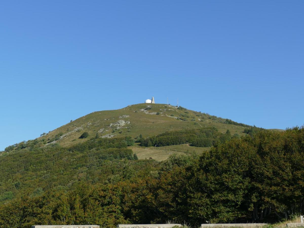 Les Noyers Du Wissbach Villa Willer-sur-Thur Dış mekan fotoğraf