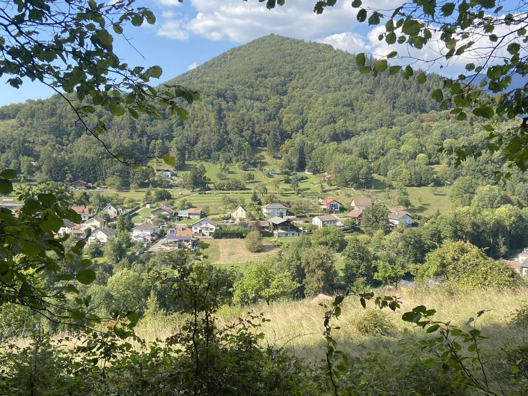 Les Noyers Du Wissbach Villa Willer-sur-Thur Dış mekan fotoğraf