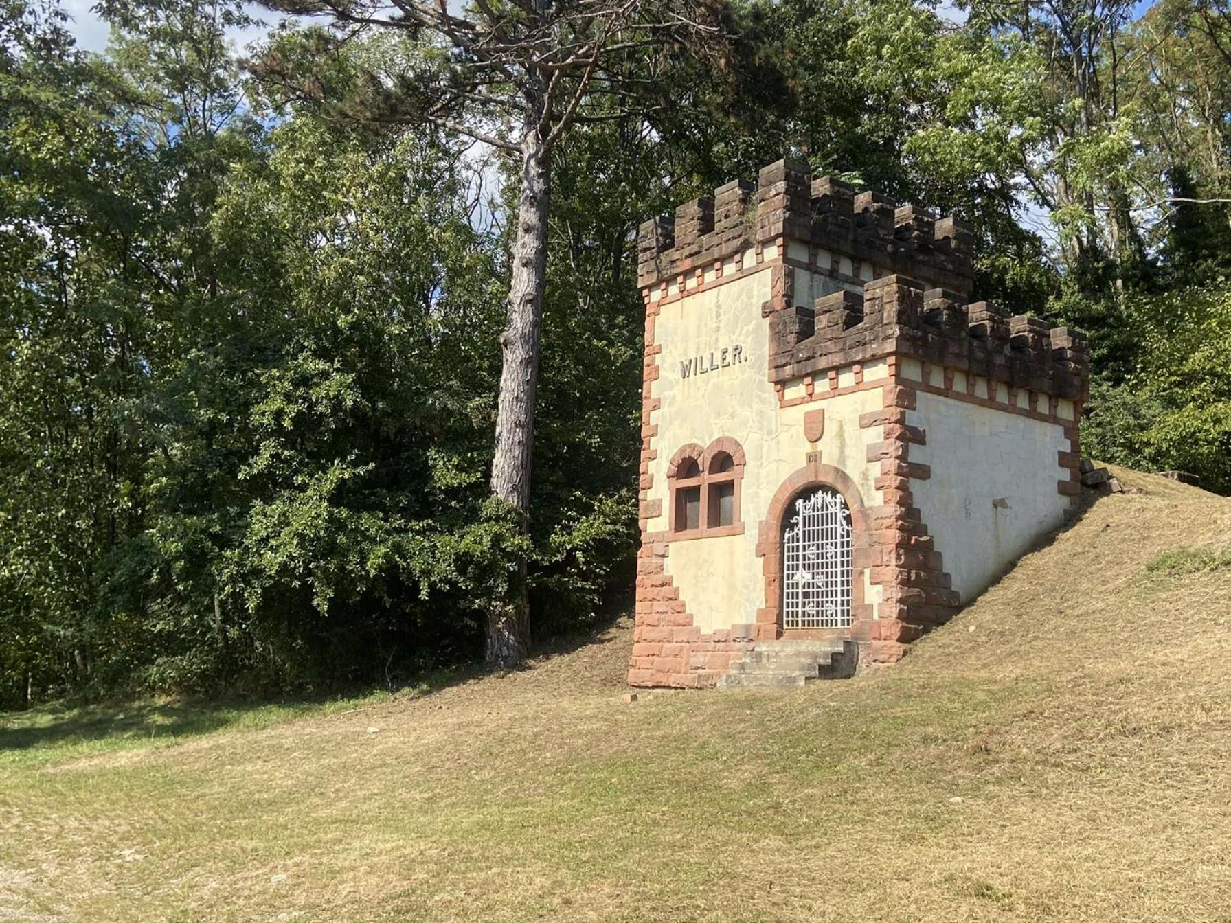 Les Noyers Du Wissbach Villa Willer-sur-Thur Dış mekan fotoğraf