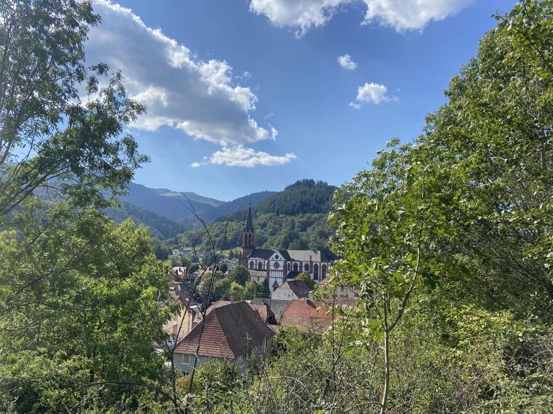 Les Noyers Du Wissbach Villa Willer-sur-Thur Dış mekan fotoğraf
